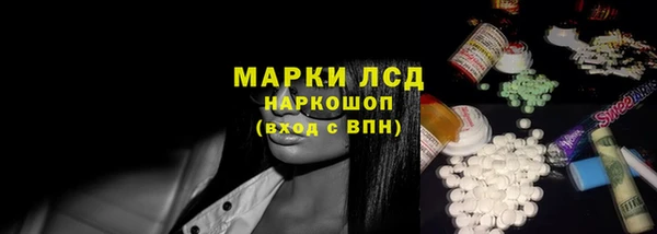 гидра Володарск