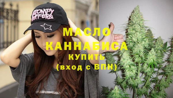 гидра Володарск