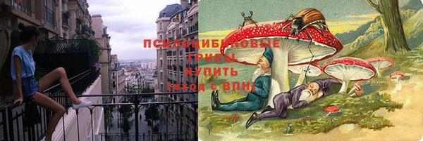 мдпв Саяногорск